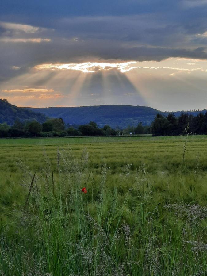 Ferienhaus Am Weserberglandsee Lauenforde Bagian luar foto